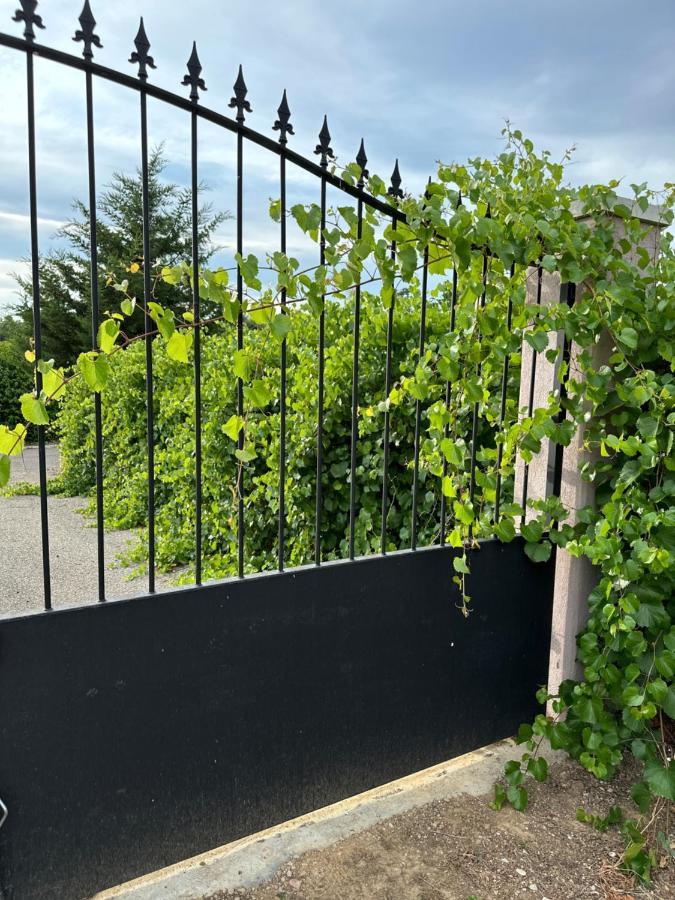 La Villa Du Rayol Saint Maximin 外观 照片